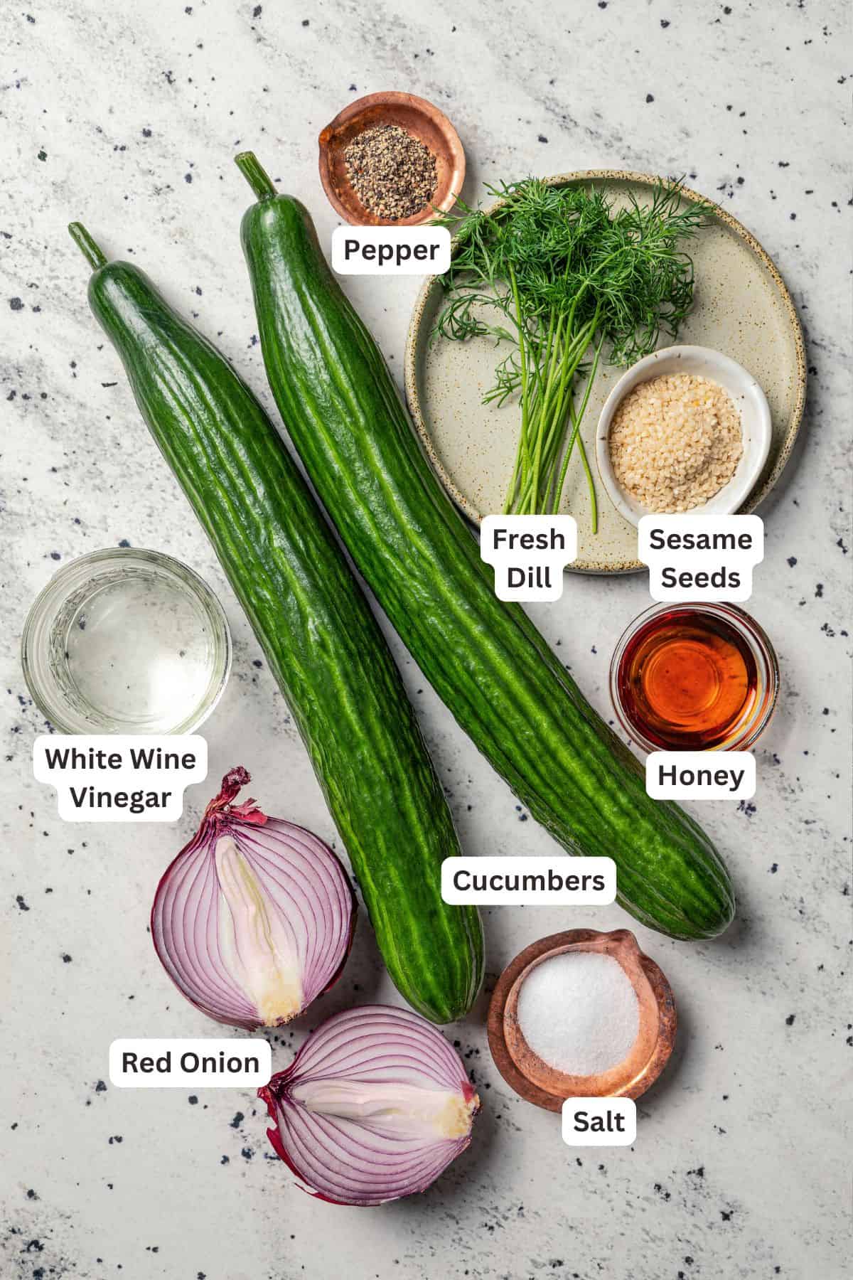 Cucumber and onion salad ingredients with text labels overlaying each ingredient.