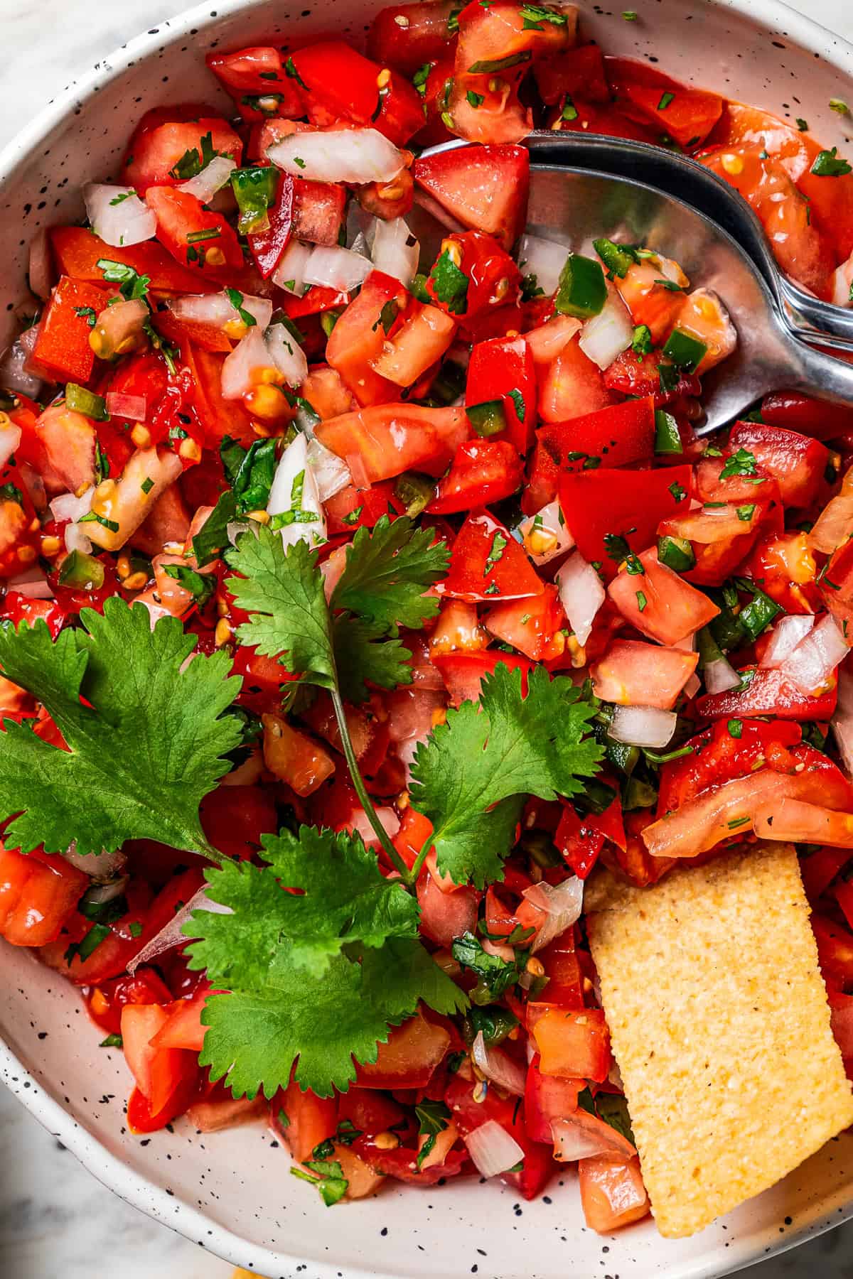Pico de gallo is a fresh tomato salsa with only 5 ingredients: tomatoes, onion, jalapeño, cilantro, and lime. It’s quick and easy to make! Overhead view of a tortilla chip resting in a bowl of pico de gallo.