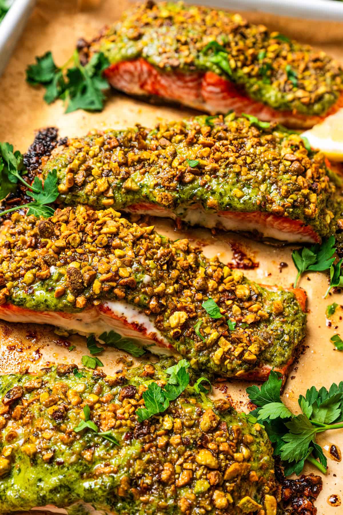 Flaky pistachio-crusted salmon smothered with homemade zhoug sauce and served with a kale salad is a quick, easy dinner packed with flavor! Four pistachio crusted salmon fillets on a baking sheet.