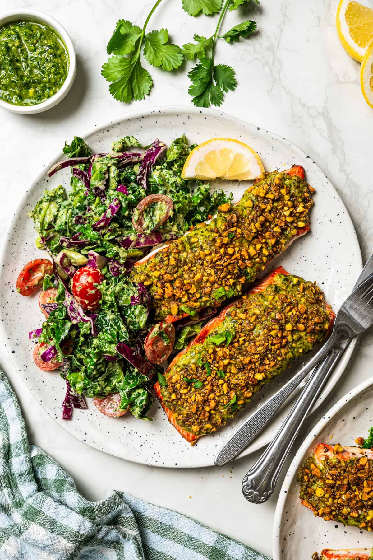 Flaky pistachio-crusted salmon smothered with homemade zhoug sauce and served with a kale salad is a quick, easy dinner packed with flavor! A dinner plate of two pistachio crusted salmon filets with a side of kale salad.