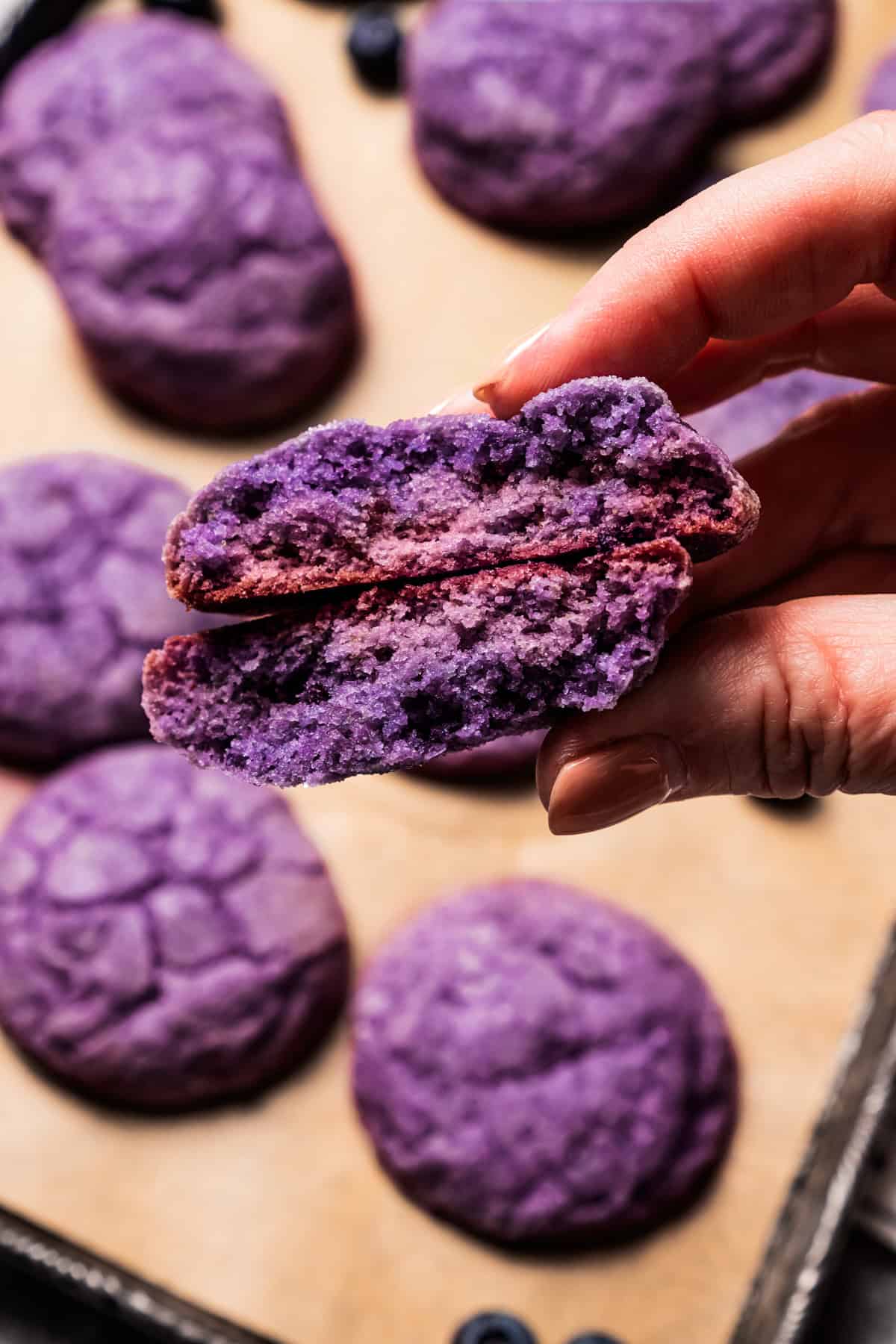 A hand holding up a blueberry cookie broken in half.