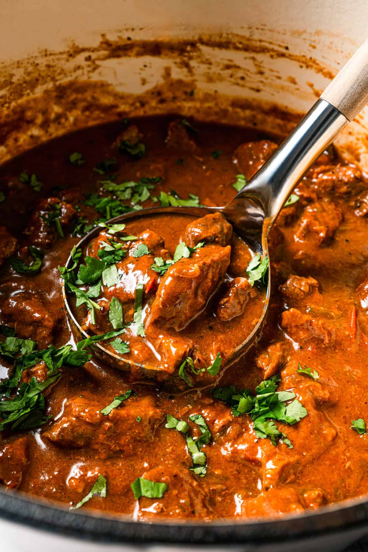 Carne guisada is a flavorful Latin stew with juicy beef slow-cooked in gravy with tomatoes, jalapeños, and spices. Make it at home in one pot! A ladle scooping carne guisada from a large pot.