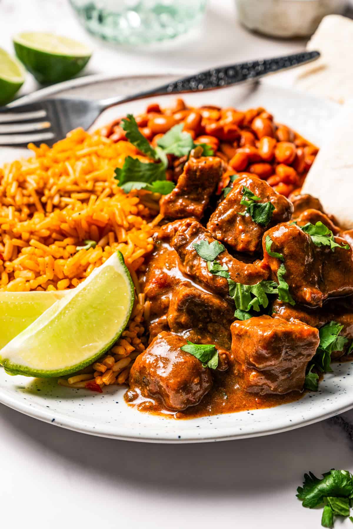 Carne guisada is a flavorful Latin stew with juicy beef slow-cooked in gravy with tomatoes, jalapeños, and spices. Make it at home in one pot! Carne guisada is served on a plate with rice, beans, and flour tortillas.
