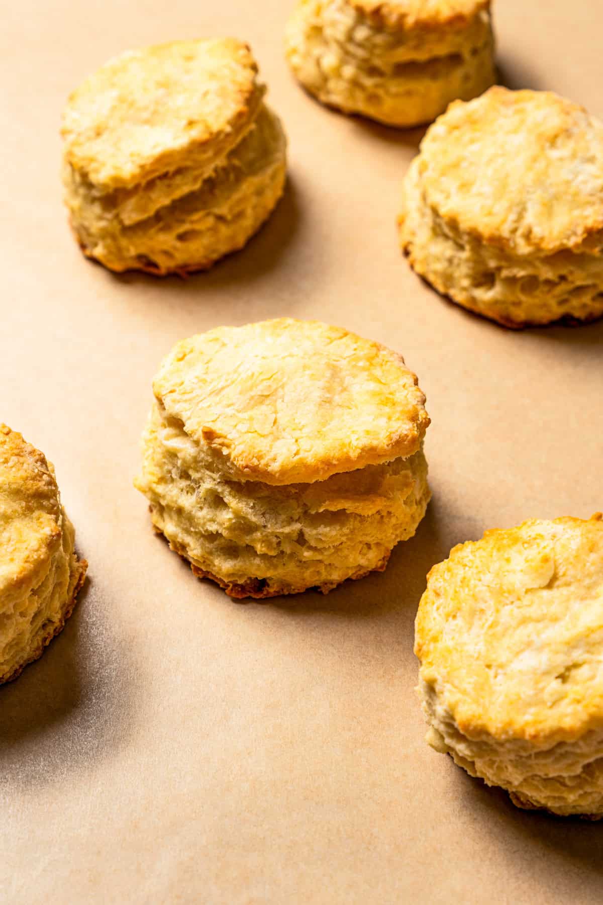 Biscuits arranged on parchment paper.