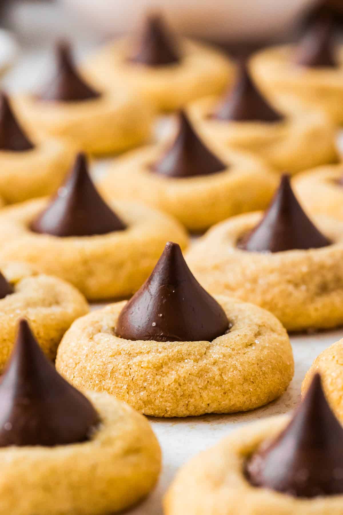 This peanut butter blossoms recipe makes soft, thick peanut butter cookies topped with a chocolate kiss. Easy to make and perfect for any occasion. Rows of homemade peanut butter blossom cookies.