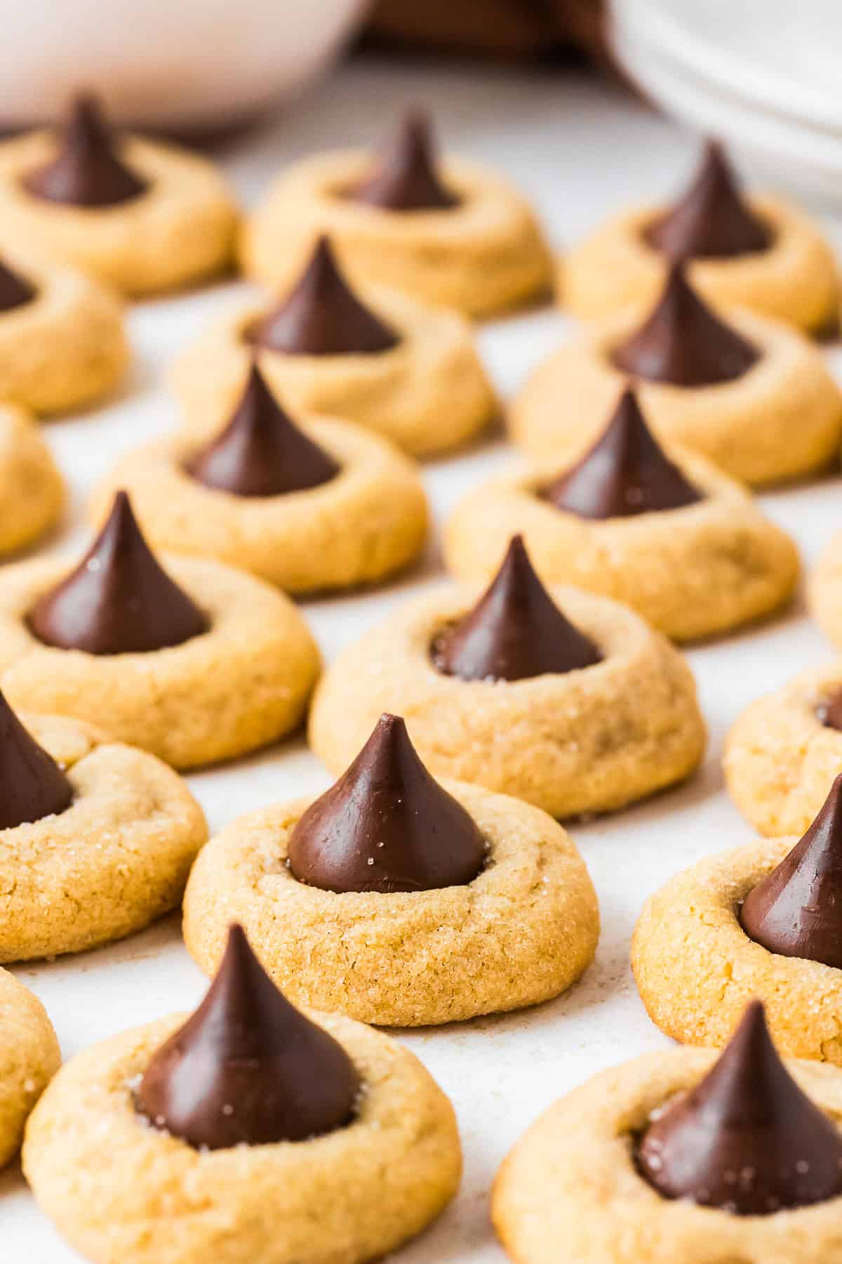 This peanut butter blossoms recipe makes soft, thick peanut butter cookies topped with a chocolate kiss. Easy to make and perfect for any occasion. Rows of homemade peanut butter blossoms.