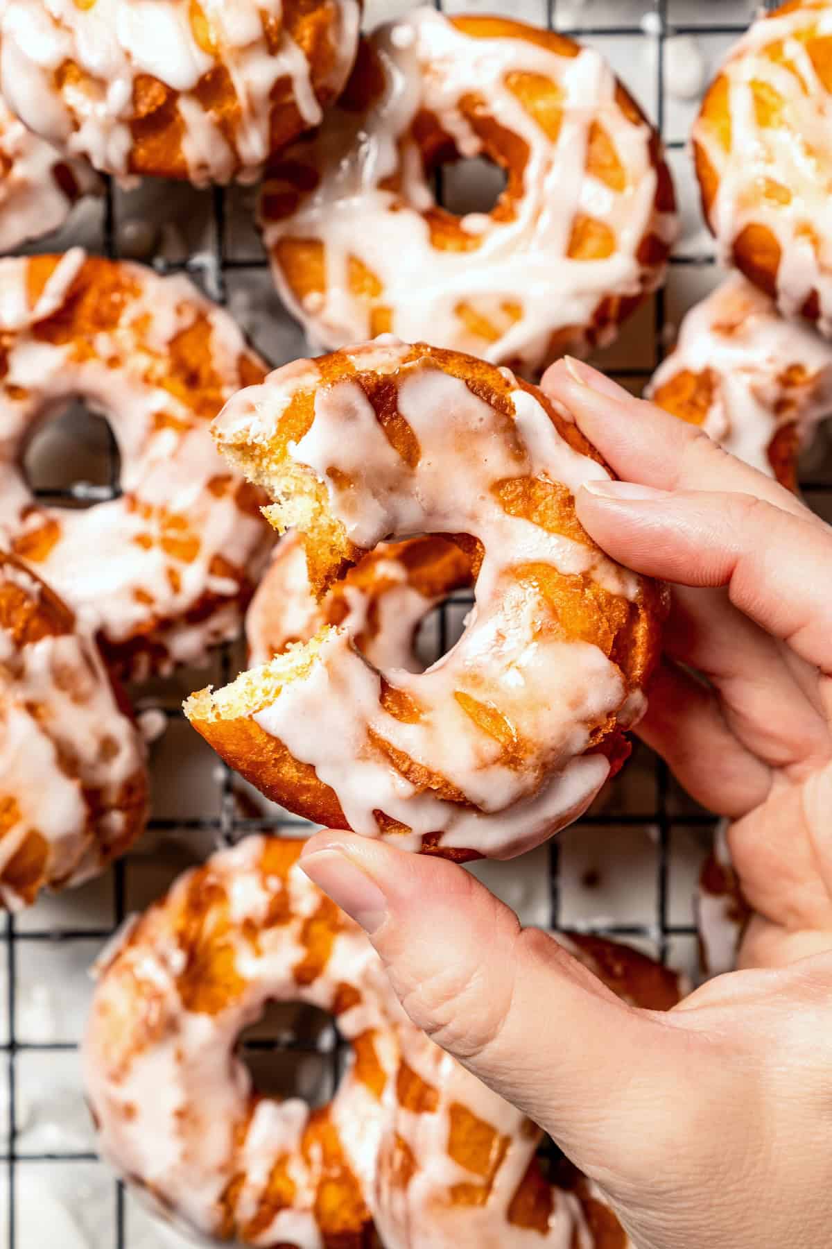These old-fashioned sour cream donuts are soft and cakey beneath a golden crust coated in creamy vanilla glaze. No yeast or rising time! A hand holding up a glazed sour cream cake donut with a bite missing.