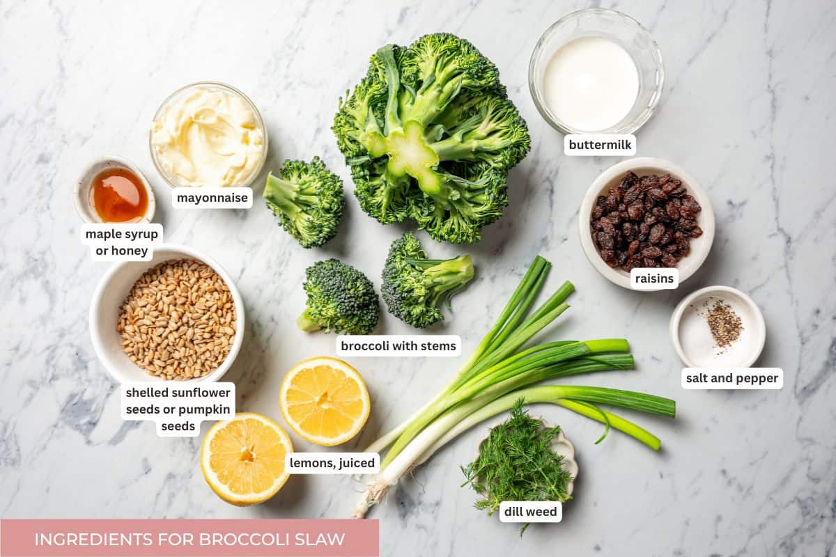 This broccoli slaw recipe is a fresh, 10-minute side dish with crunchy broccoli, sunflower seeds, and raisins in creamy buttermilk dressing. Broccoli slaw recipe ingredients with text labels overlaying each ingredient.