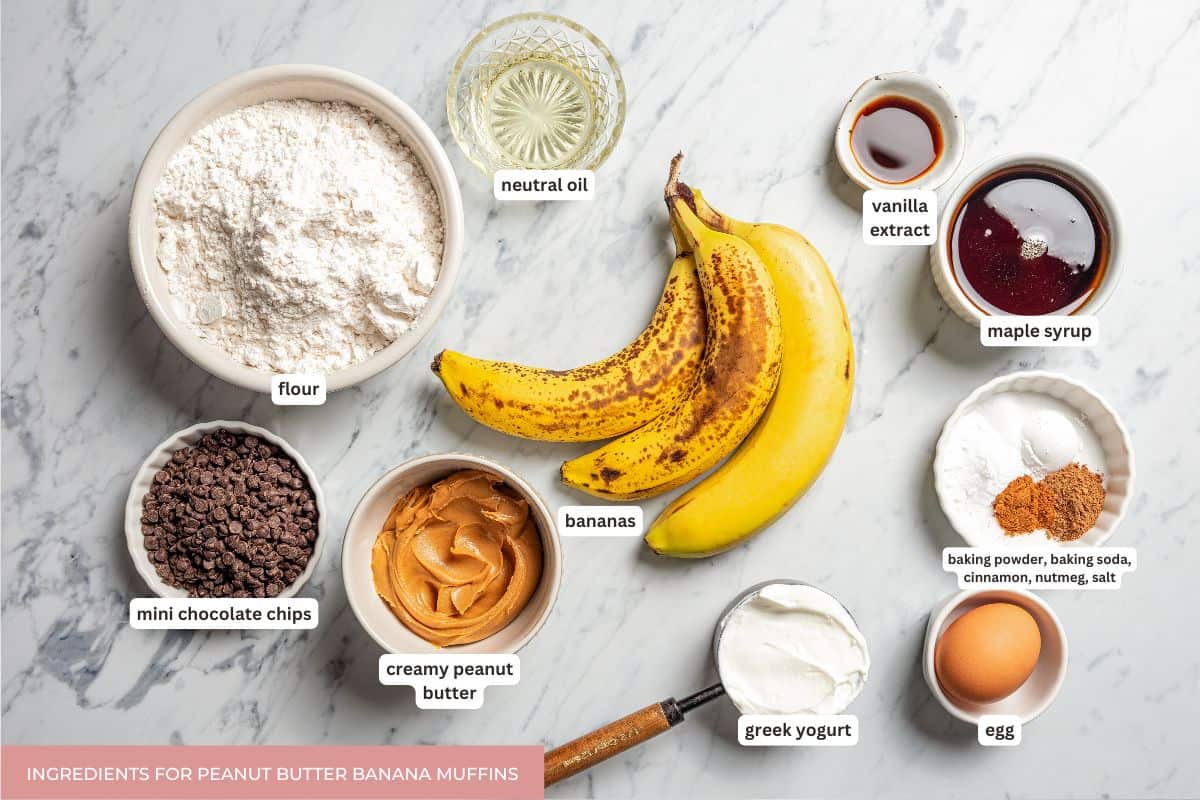 Peanut butter banana muffins are easy to make in one bowl! They’re super moist, with ripe bananas, creamy peanut butter, and chocolate chips. Peanut butter banana muffins ingredients wth text labels overlaying each ingredient.