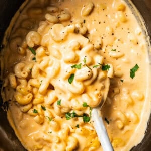 A spoon lifting mac and cheese from the slow cooker.