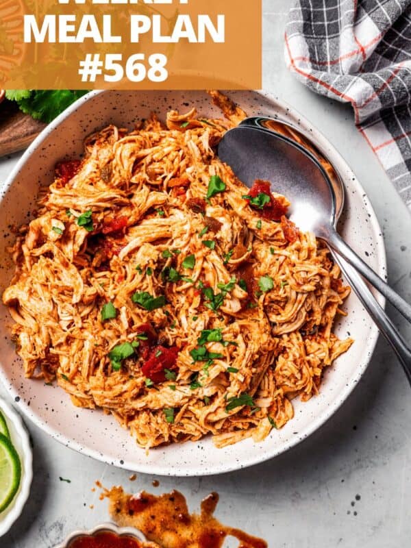 A bowl of shredded chicken tossed with salsa.