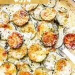 A baking dish of baked zucchini slices in a creamy Parmesan sauce.