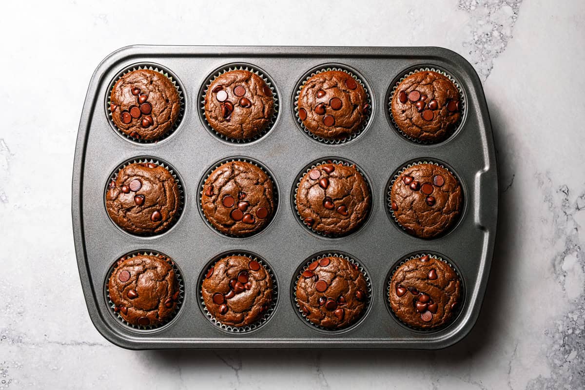 Chocolate protein muffins are moist, loaded with hidden veggies, and easy to make in the blender for a high-protein breakfast or meal prep. Chocolate muffins in a muffin tray.