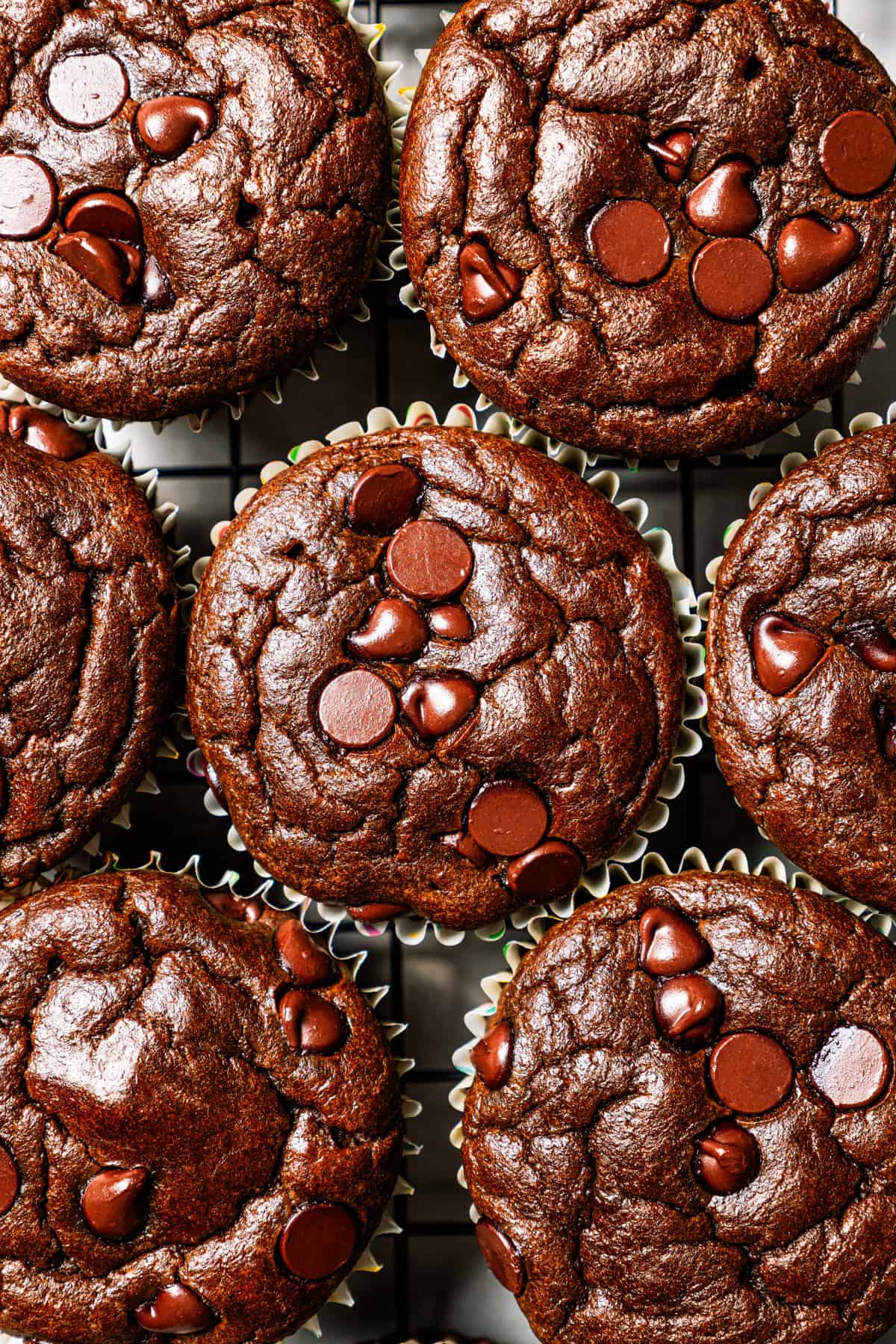Chocolate protein muffins are moist, loaded with hidden veggies, and easy to make in the blender for a high-protein breakfast or meal prep. A close-up of protein chocolate muffins arranged side by side.