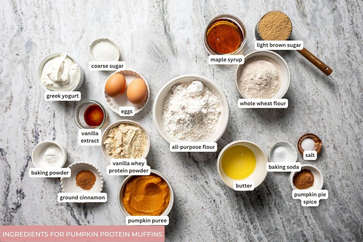Moist, fluffy pumpkin protein muffins are a high-protein fall treat made with vanilla whey powder, Greek yogurt, eggs, and pumpkin purée. Ingredients for Pumpkin Protein Muffins.