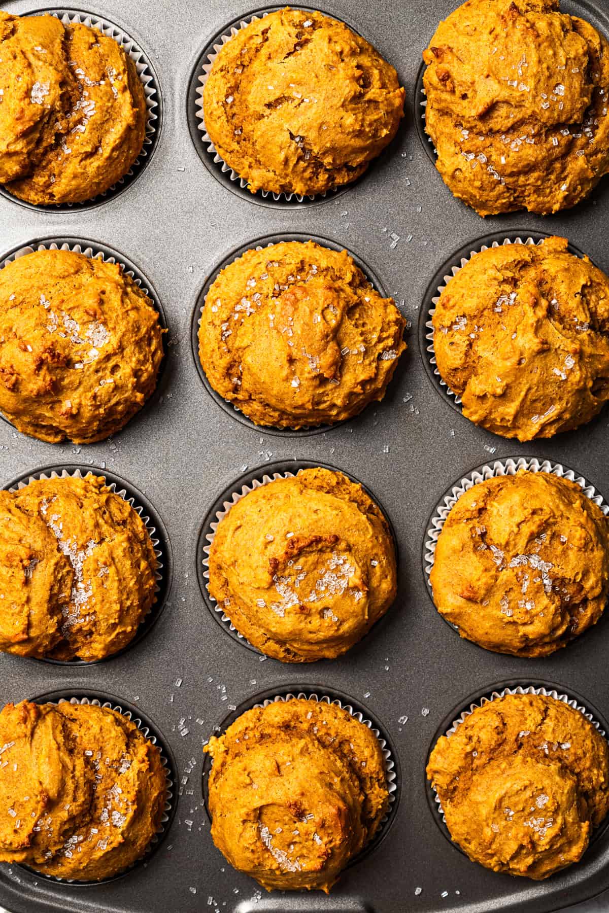 Moist, fluffy pumpkin protein muffins are a high-protein fall treat made with vanilla whey powder, Greek yogurt, eggs, and pumpkin purée. Close-up of pumpkin protein muffins with golden tops and a sprinkle of coarse sugar.